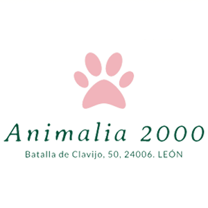 animalia